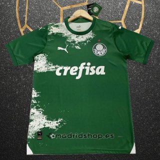 Tailandia Camiseta Palmeiras Special 2024 Verde